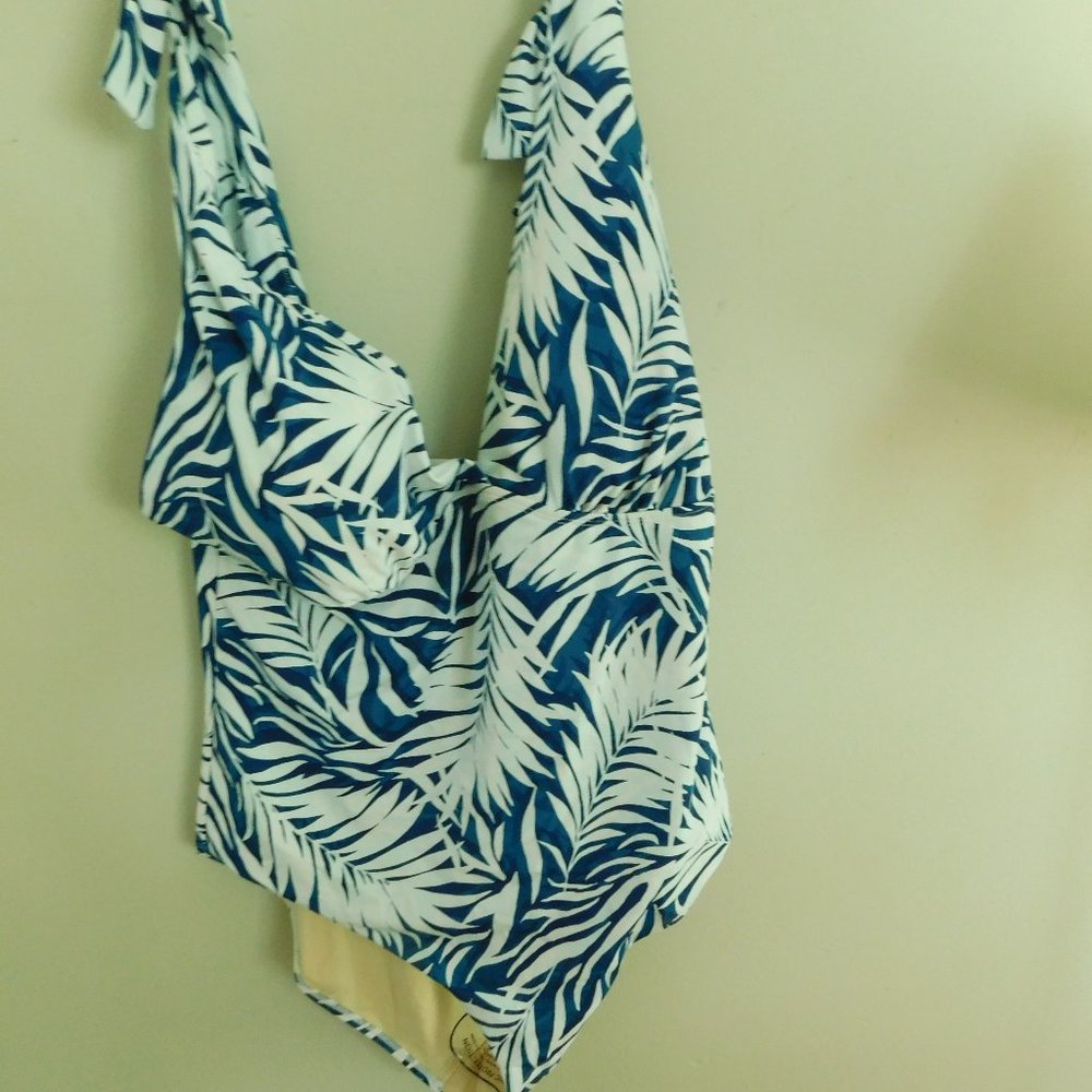 Size 22 Swimsuit Kim Gravel Swimsuits for All